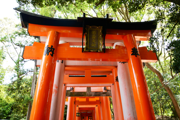 Japanese and English sentence structure comparison