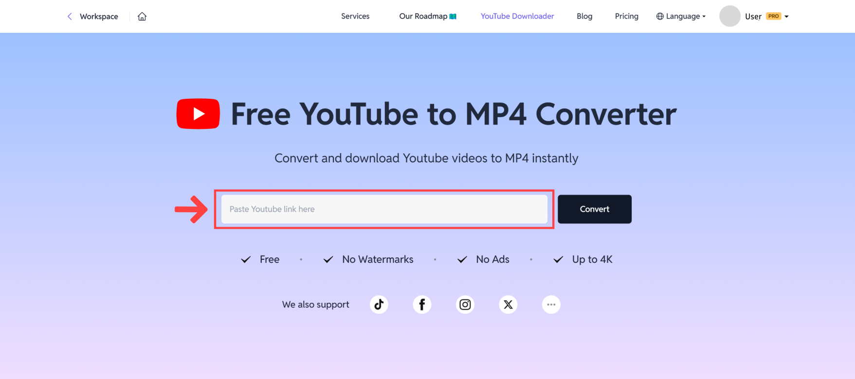 Pega el enlace del video de YouTube